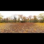 autumn_hockey_4k