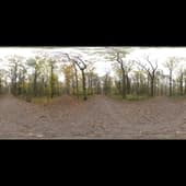 autumn_crossing_4k