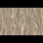 Equilibre collection Br1 Br1 010