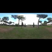 stone_pines_4k