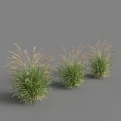 GRASS FOUNTAIN