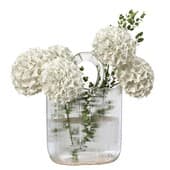 Plant905