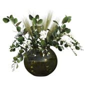 Plant269