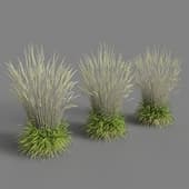 GRASS DRY HI x3