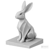Rabbit #2