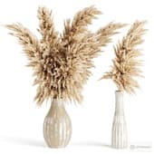Dry plants pampas set
