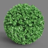 Spherical Hedge