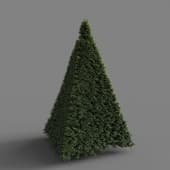 MT PM V28 Yew 01 02