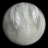 OBOI-1