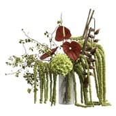 Plant931