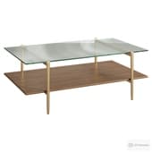 Mid-Century Art Display Coffee Table