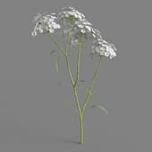 034 FacebookPage TN3dModel