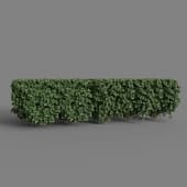 MT PM V28 Boxwood 01 03