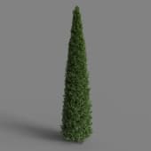 MT PM V28 Yew 01 09