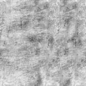 Dirt_19