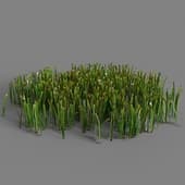 010 simple grass small v1