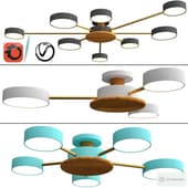 TIDEN collection