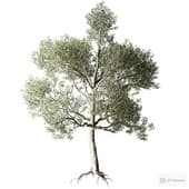 Декоративное дерево Tree 01