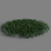 018 simple grass large v3