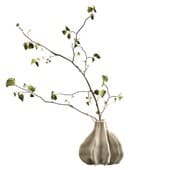 Plant925