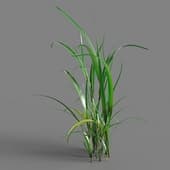 067 simple grass v1