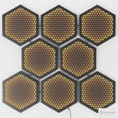 RIDS2.0 Graphite Light panel Hexagon