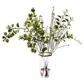plant00345