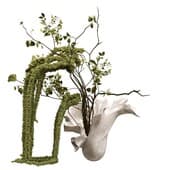 Plant911