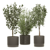 Plant110