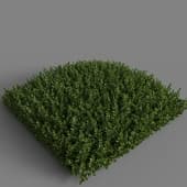 MT PM V78 Bryophyte 01 02