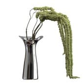 Plant913