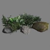 Stones and tree 18