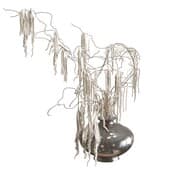 Plant342