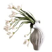 Plant846