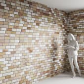 Brick 31
