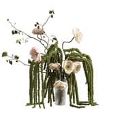 Plant930