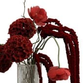 Plant897