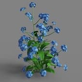 050 FacebookPage TN3dModel