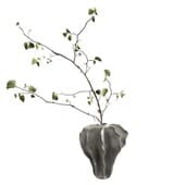 Plant849