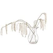 Plant895