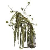 plant867