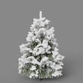 fir winter2