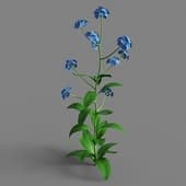 051 FacebookPage TN3dModel