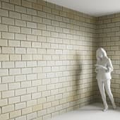 Brick 19