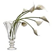 Plant912