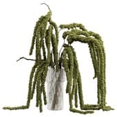 Plant927