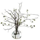 Plant422