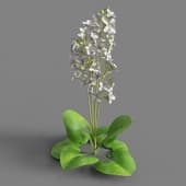 032 FacebookPage TN3dModel